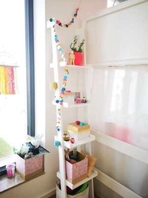 Shared girl's room ladder shelf